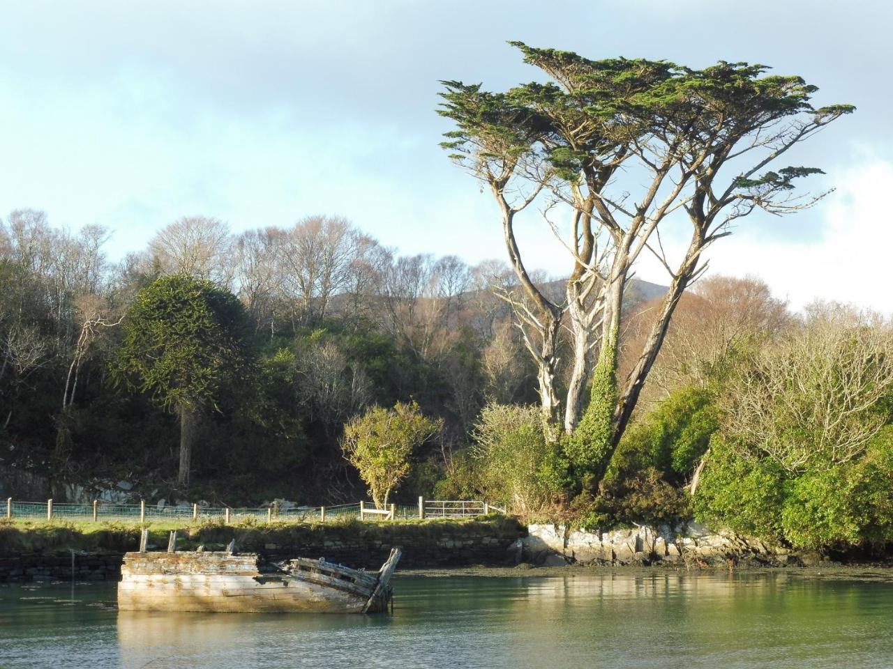 Island View House Panzió Castletownbere Kültér fotó